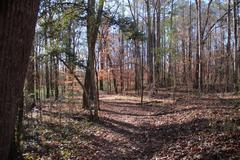 cascade springs nature preserve in atlanta