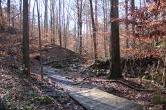 boardwalk through Cascade Springs Nature Preserve in Atlanta