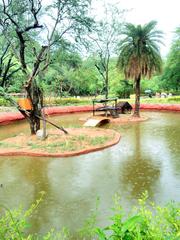 a giant panda in its enclosure at Nehru Zoological Park