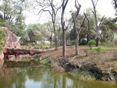 Pool inside Nehru Zoological Park, Hyderabad