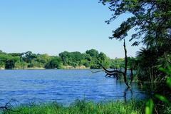 Scenic landscape at Nehru Zoological Park, Hyderabad