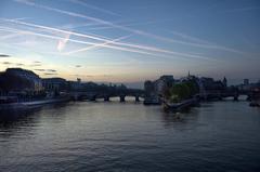 Île de la Cité view from Pont des Arts in Paris