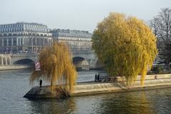 Square du Vert-Galant with Pont Neuf in the background, Paris