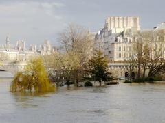 Square du Vert-Galant in Paris flooded, January 2018