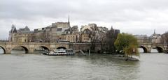 Pont Neuf and Square du Vert-Galant in Paris