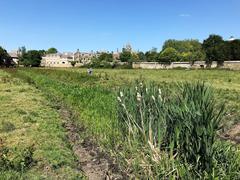 A shallow dike on Coe Fen in Cambridge