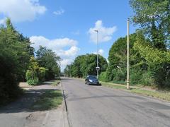 A stench pipe on Queen Edith's Way