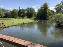 view of the River Cam from Crusoe Bridge