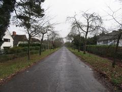 A dull day in Barrow Road