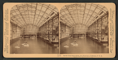 Sutro Baths historic stereoscopic view