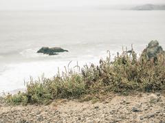 Beach Fringe at Sutro Baths in San Francisco