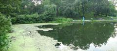 northern pond in Central Park