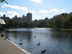 Harlem Meer in north Central Park