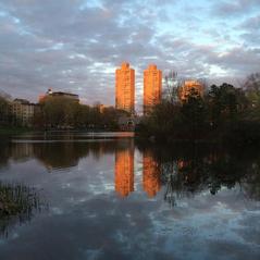 Harlem Meer in Central Park with peaceful water and surrounding greenery