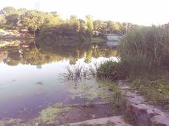 Harlem Meer in Central Park looking eastward