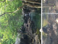 River Otter habitat at the Maryland Zoo