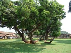 Palakkad Fort in Kerala, India