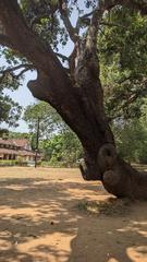 Palakkad Fort in Srinagar, Jammu Kashmir with a scenic background