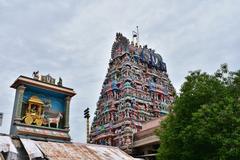 Parthasarathi temple in Chennai from the Pallava period, 8th century