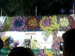 colorful flower arrangements at a flower show