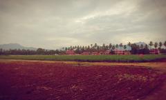 Scenic view of greenery and trees at Tamil Nadu Agricultural University