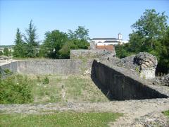 Thermes de Saint-Saloine ruins