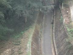 Mattupetty Dam with lush greenery and hills in the background