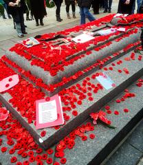 Remembrance Day poppies and military parade