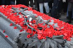 Remembrance Day 2017 ceremony in Ottawa, Canada