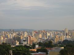 Centro city view from Torre do Castelo