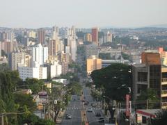 Andrade Neves city view from a tower