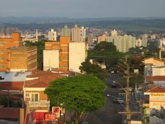 Aerial view from Torre do Castelo showing city landscape and greenery