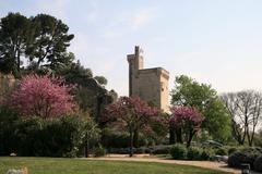 Villeneuve-lès-Avignon historic townscape with church and medieval architecture