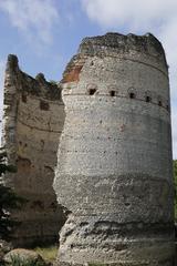 Tour de Vésone in Périgueux