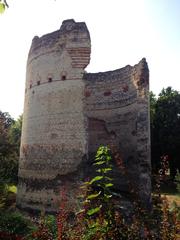 Ruins of the Roman temple of Vesunna in Vesone District