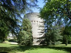 Tour de Vésone in Périgueux, France