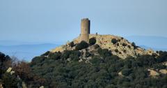 Massane tower from under Puig de Sallfort, France