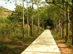 Pathway at Udayagiri Park with greenery and trees