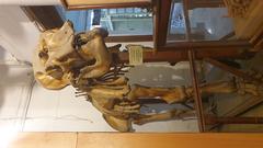 elephant skeleton at museum