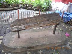 Petrified tree at Egmore Museum in Chennai