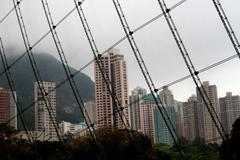 view from inside an aviary in Hong Kong Park