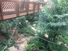 Inside Edward Youde Aviary in Hong Kong Park