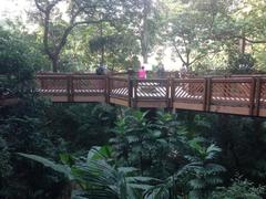 Inside Edward Youde Aviary in Hong Kong Park