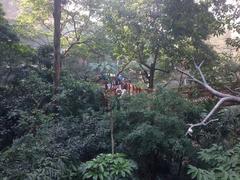 Inside Edward Youde Aviary in Hong Kong Park