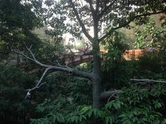 Inside Edward Youde Aviary in Hong Kong Park