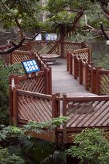 Aviary at Hong Kong Park