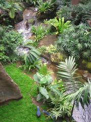 Edward Youde Aviary in Hong Kong Park