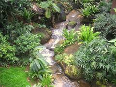 Edward Youde Aviary in Hong Kong Park