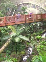 Edward Youde Aviary in Hong Kong Park, Hong Kong