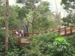 Edward Youde Aviary in Hong Kong Park